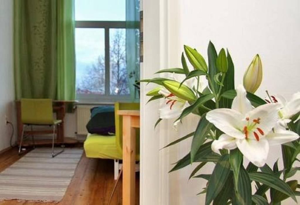 Private Gastezimmer Bei Ila Zimmerling Dresden Room photo
